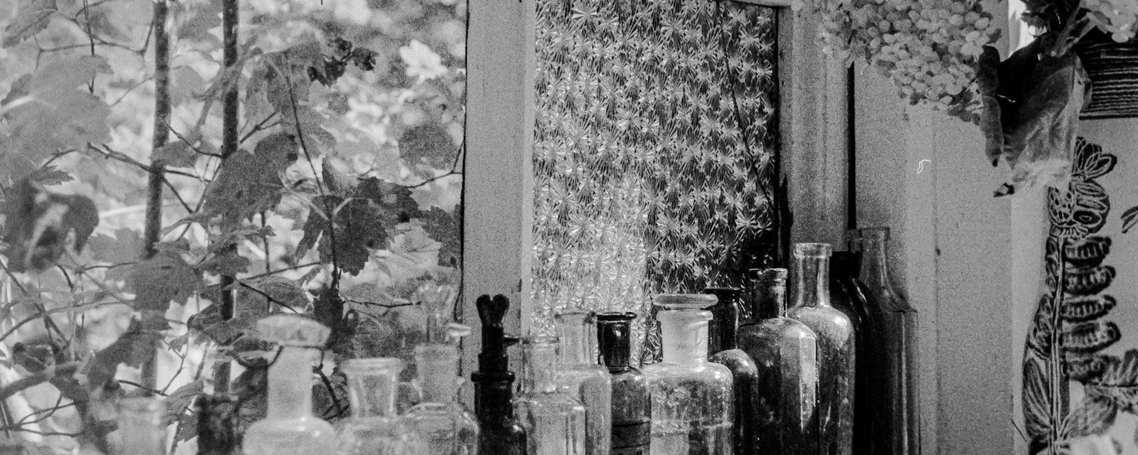 A collection of vintage glass bottles lined up on a window sill with textured glass
