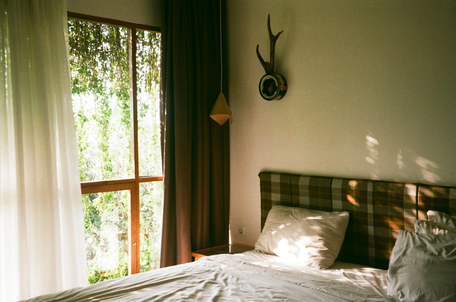 A bed with a white comforter and a deer head mounted on the wall