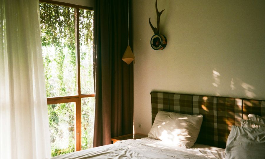 A bed with a white comforter and a deer head mounted on the wall