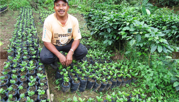 A Local Coffee Farmer 