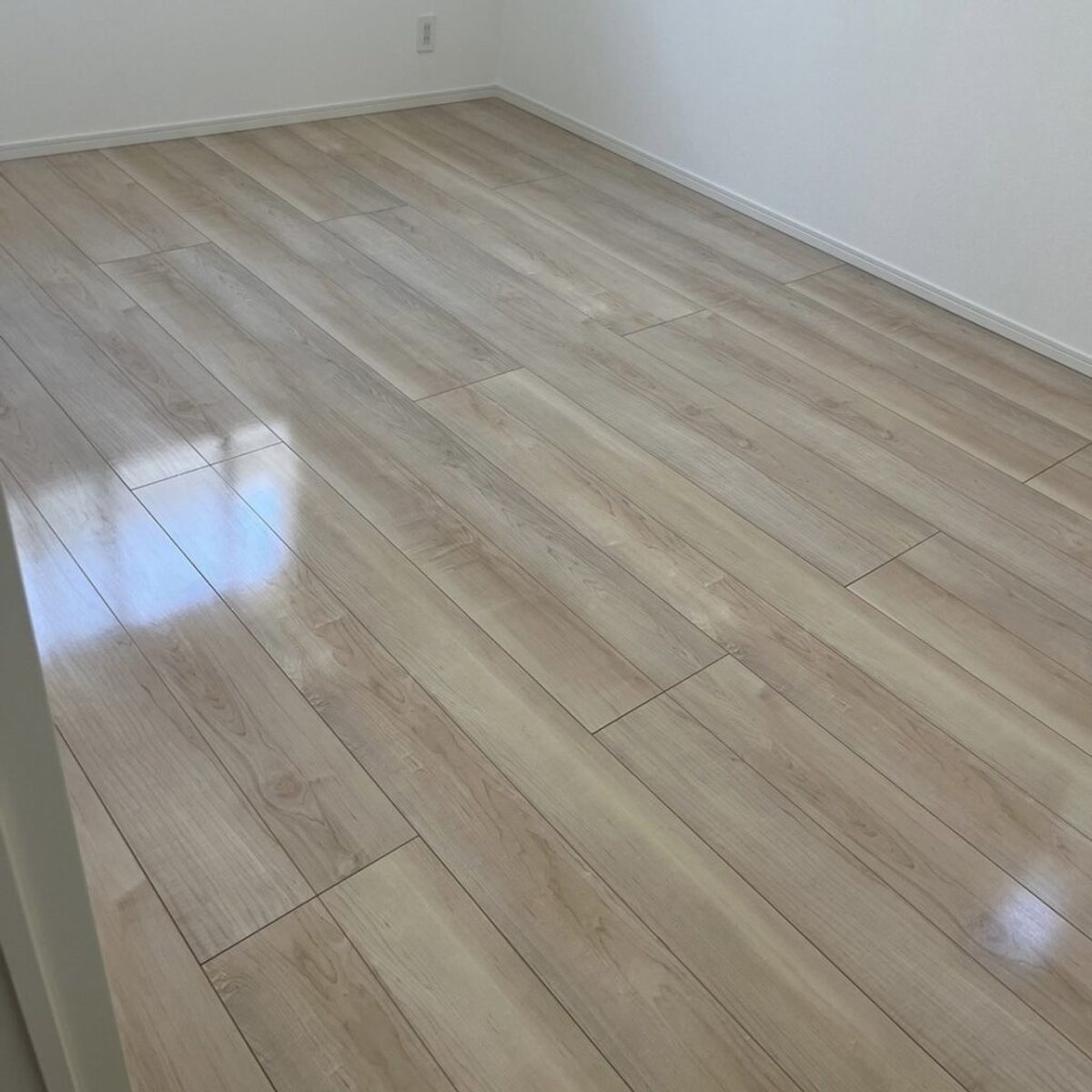 No.600｜福岡県福岡市南区｜戸建て（アーネストワン）｜プレミアムペット 施工後