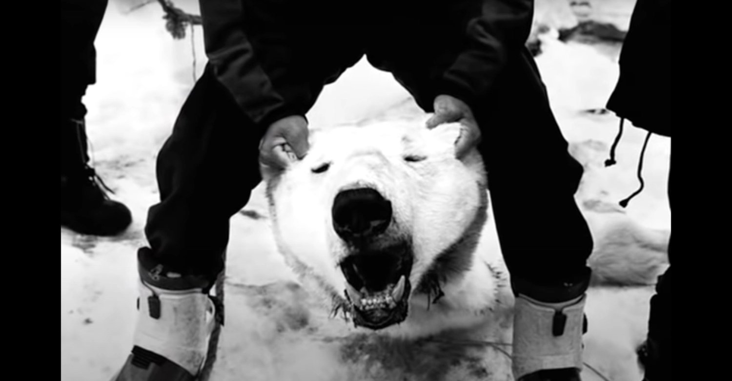 Jacob Aue Sobol on Sabine – DoBeDo