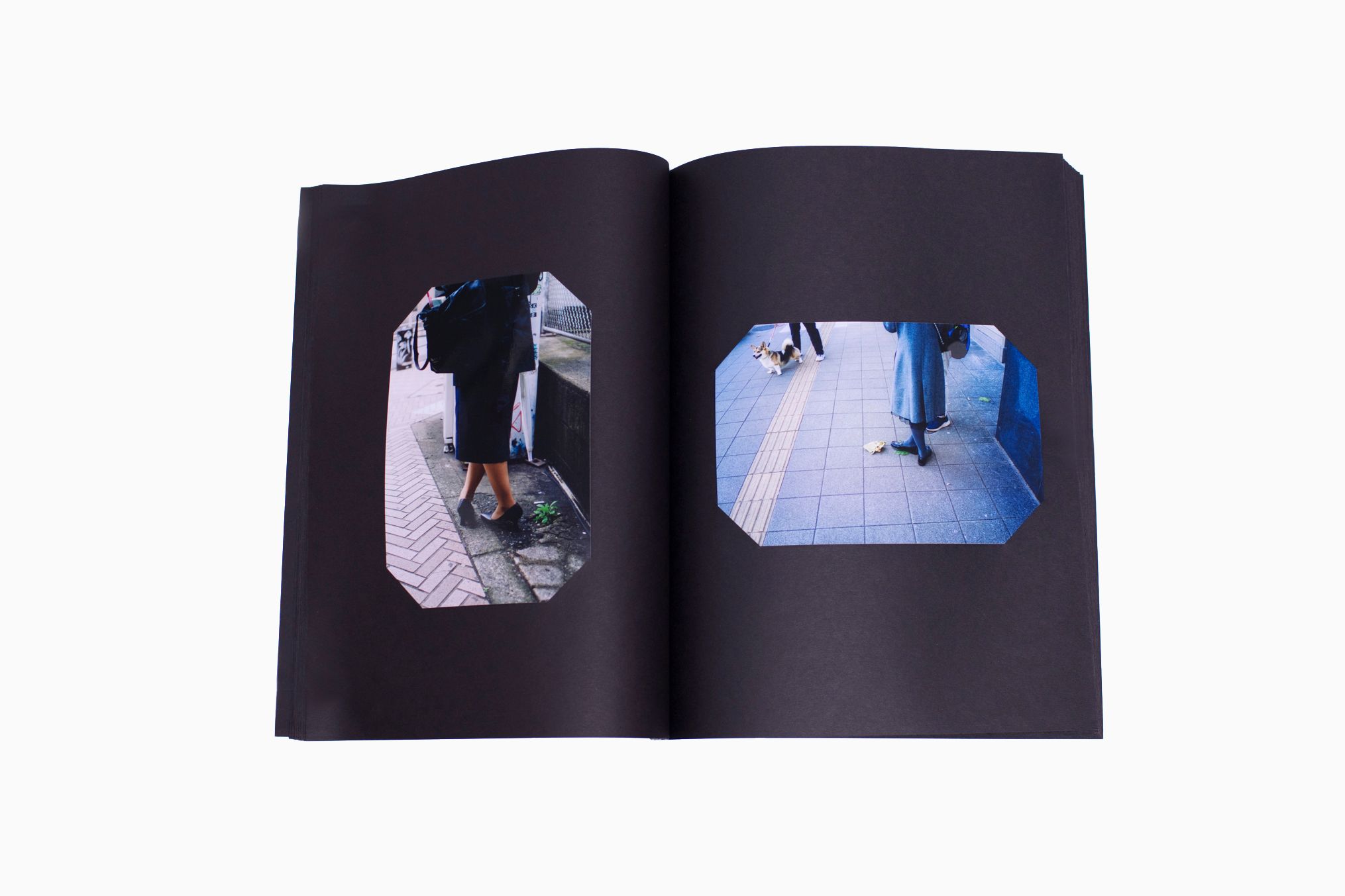 Cuts' (1st ed) by Steve Brooks | Shop | DoBeDo