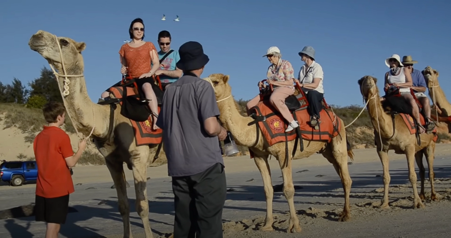 No Worries: Martin Parr  – DoBeDo