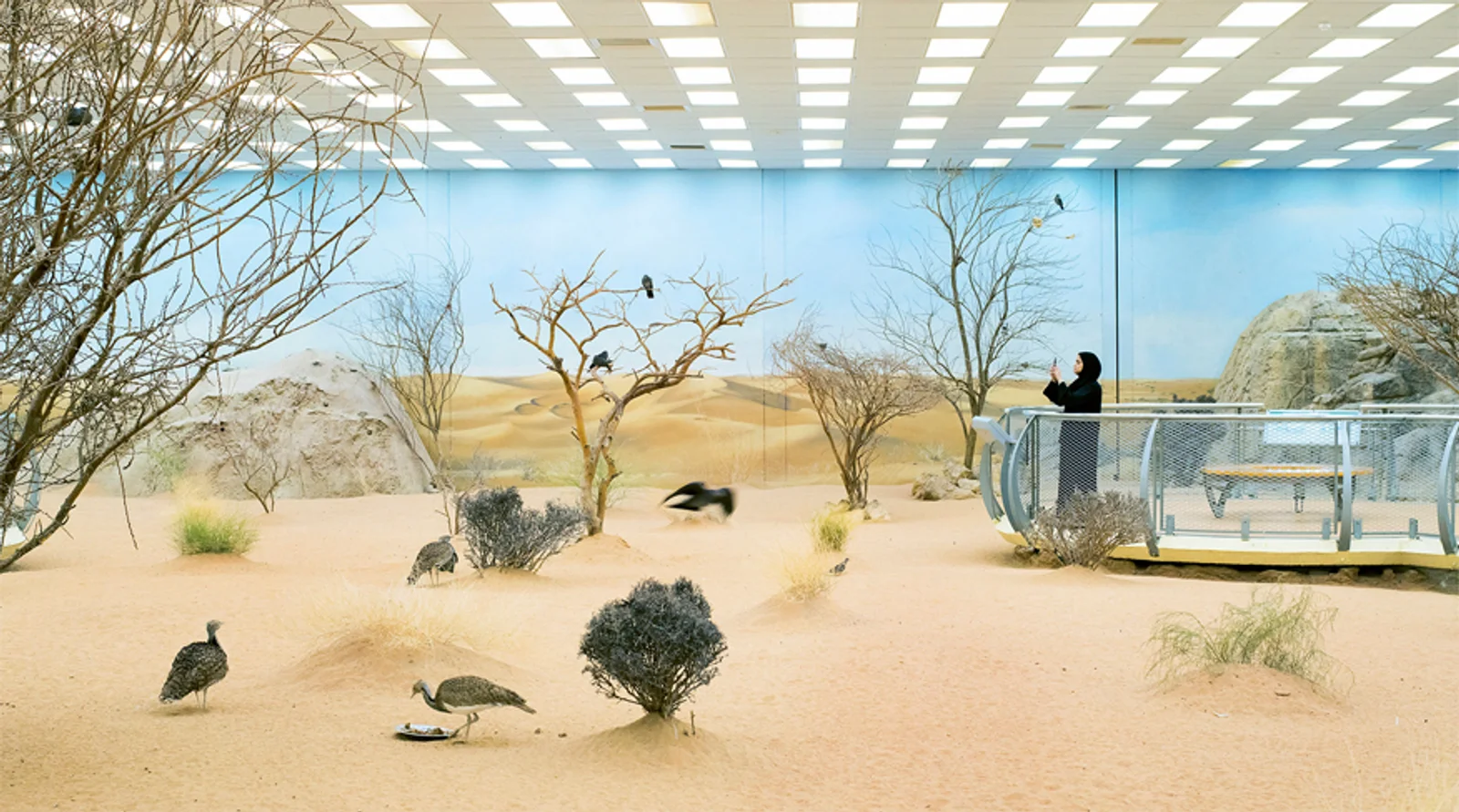 Emmazed: Farah Al Qasimi – DoBeDo