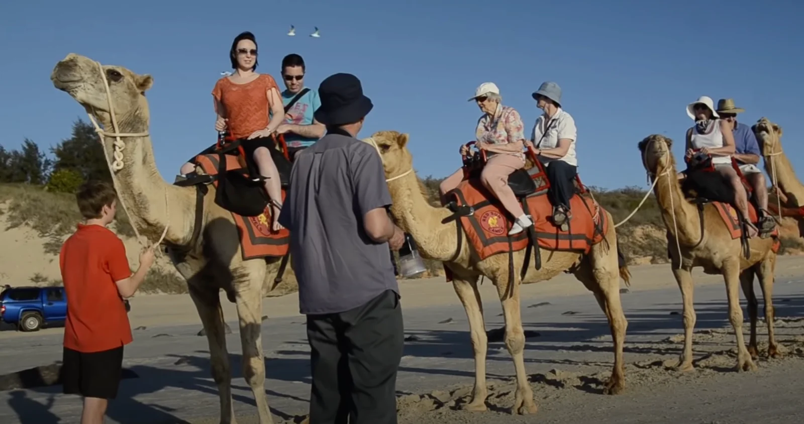 No Worries: Martin Parr  – DoBeDo