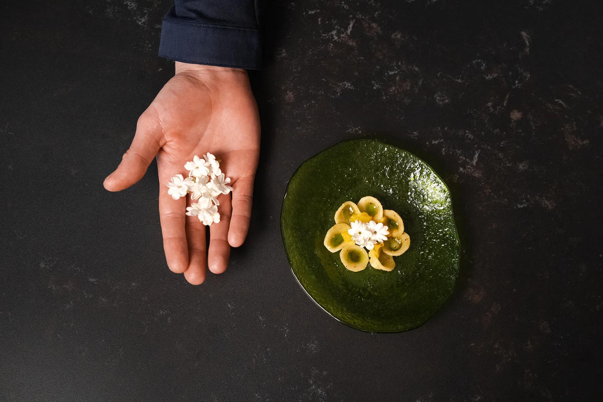 Chef Federico Tiseyra 5