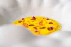 Chef Federico Tiseyra 17