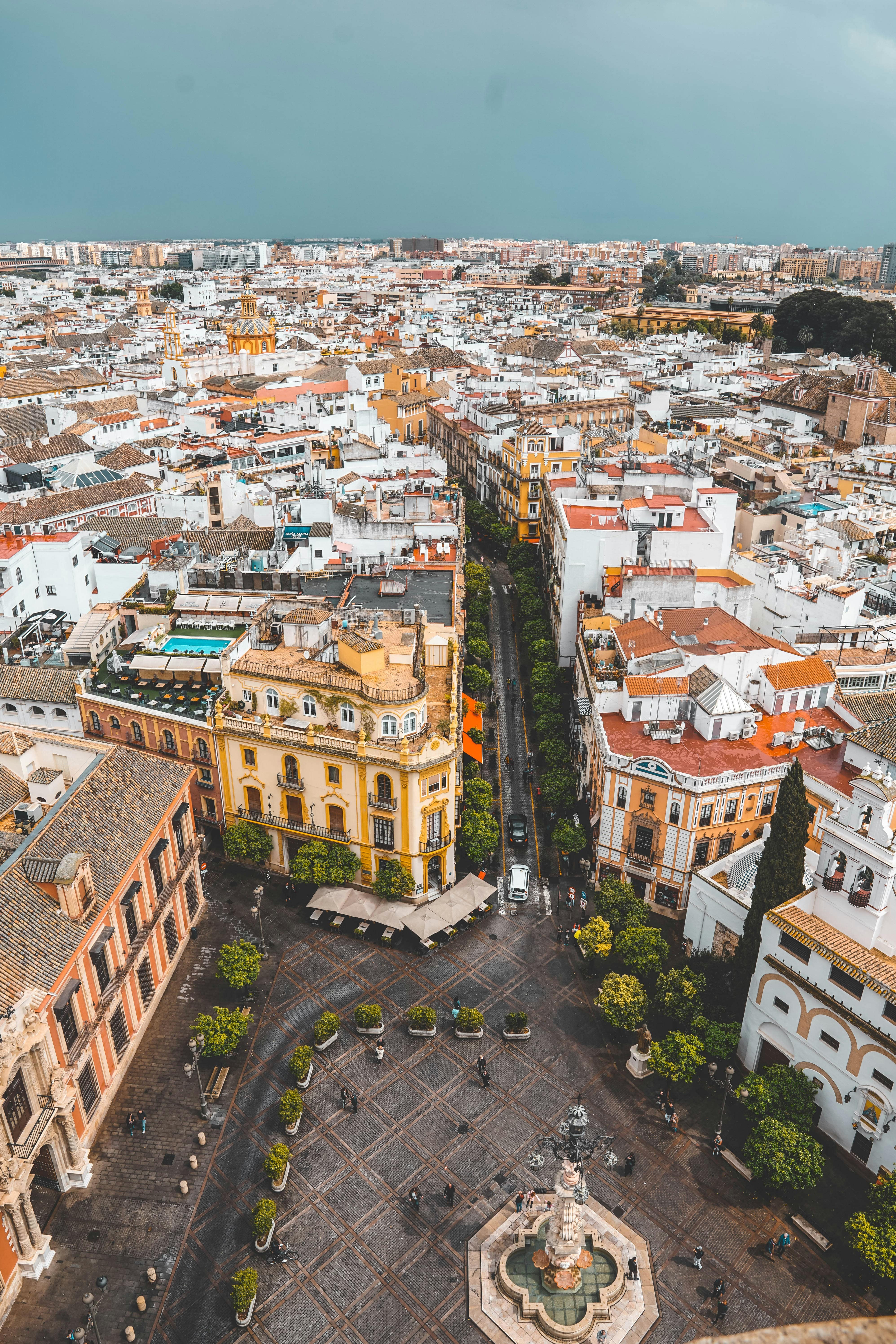 Madrid: The startup hub for Business graduates