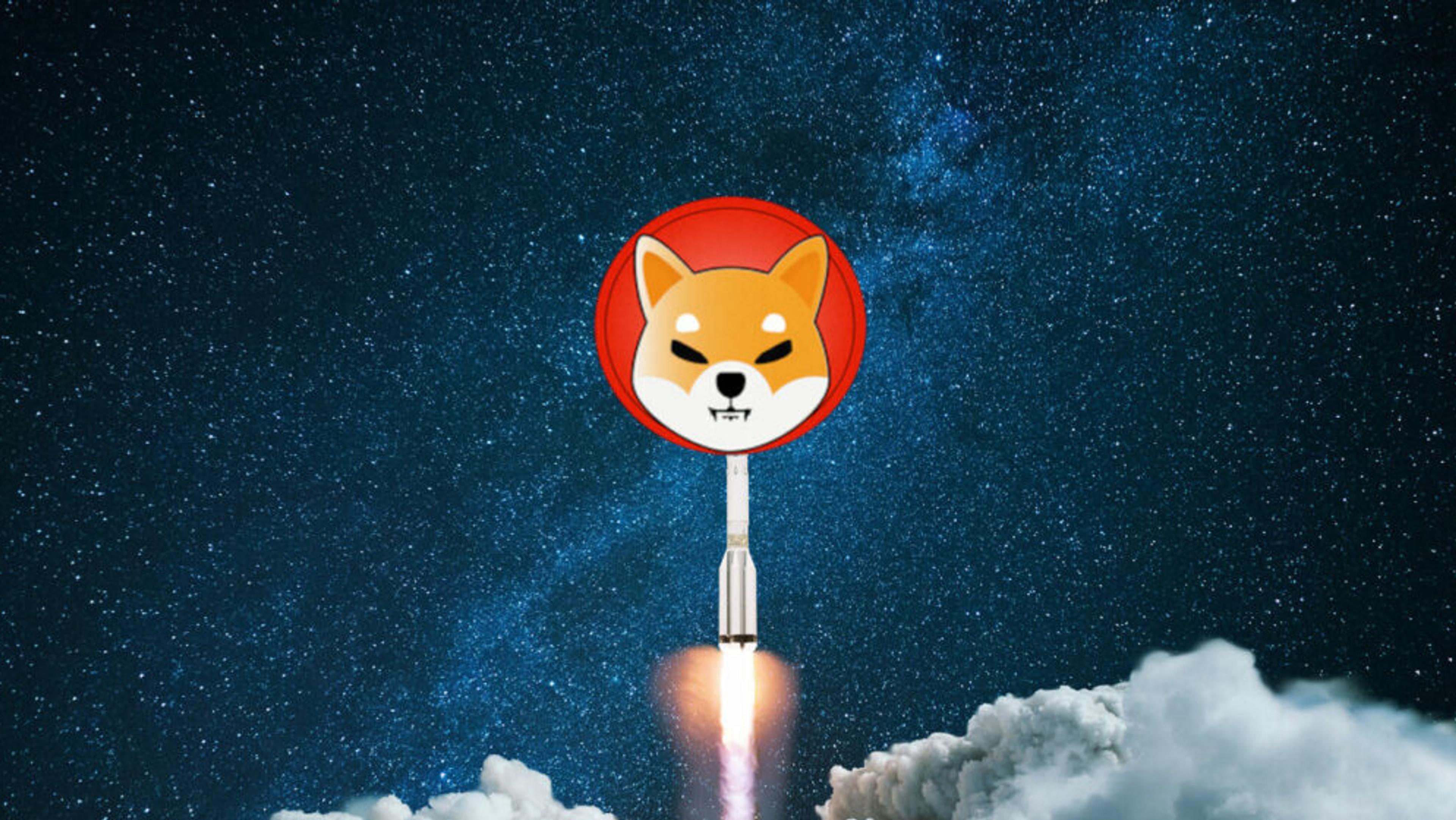 What is Shiba Inu NZ? - New Zealand's Crypto Guide (2025)