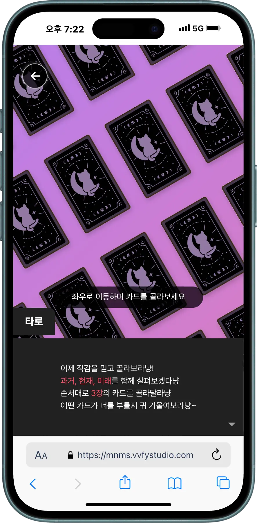 타로 캣 카드 선택 화면