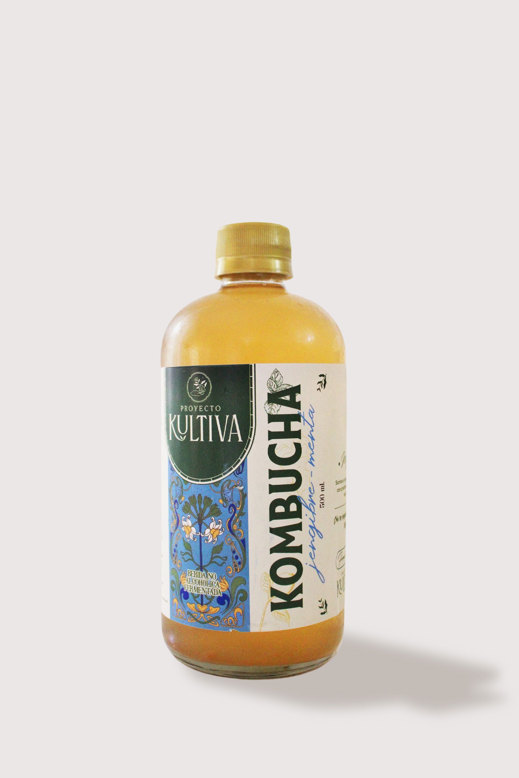 Kombucha Jengibre - Menta