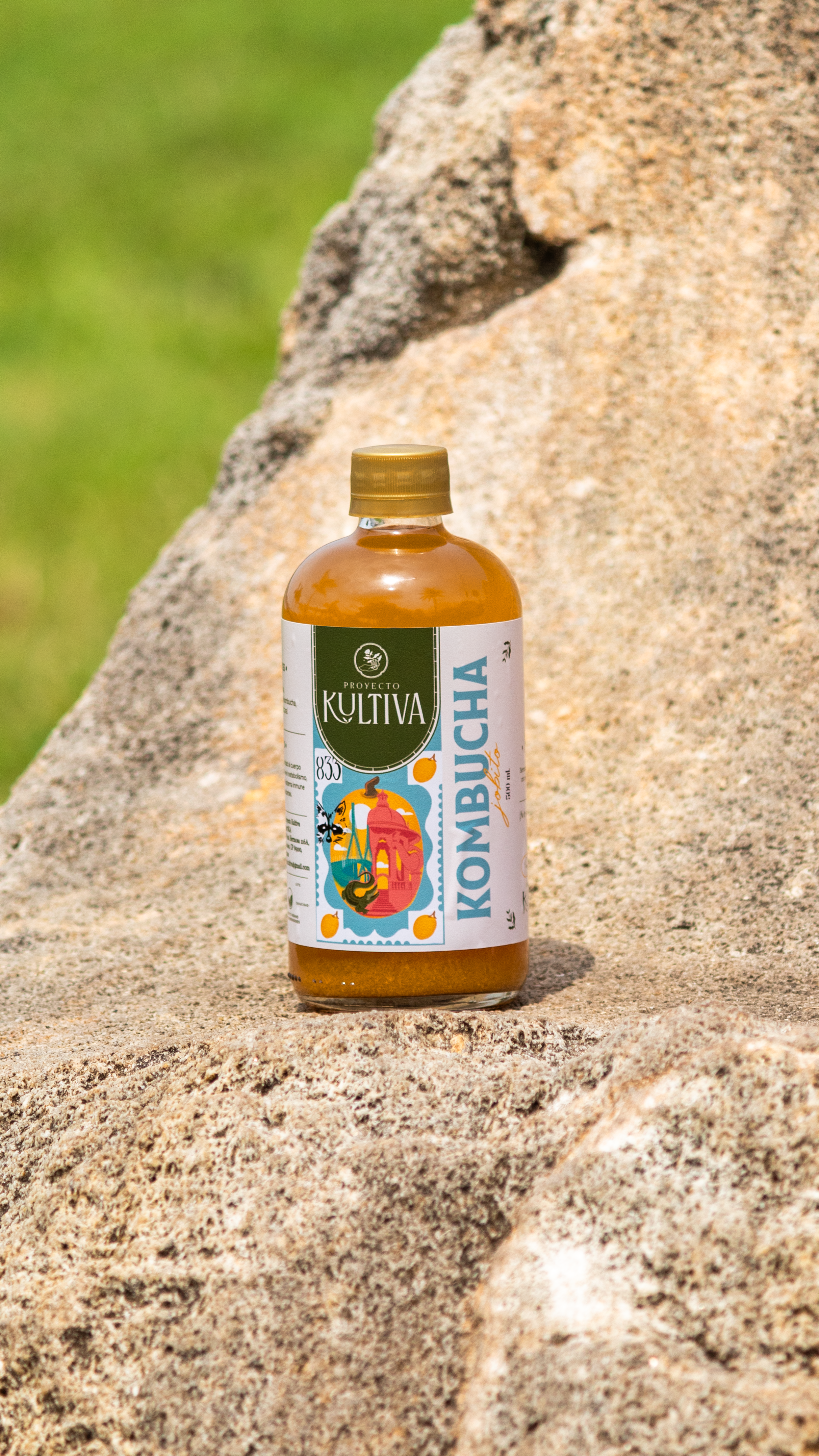 Kombucha Jobito - Image 1