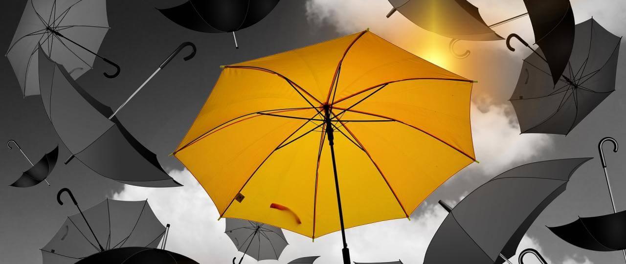 image-039b65b757a3880e18483670104e2753b11925da-1280x540-jpg