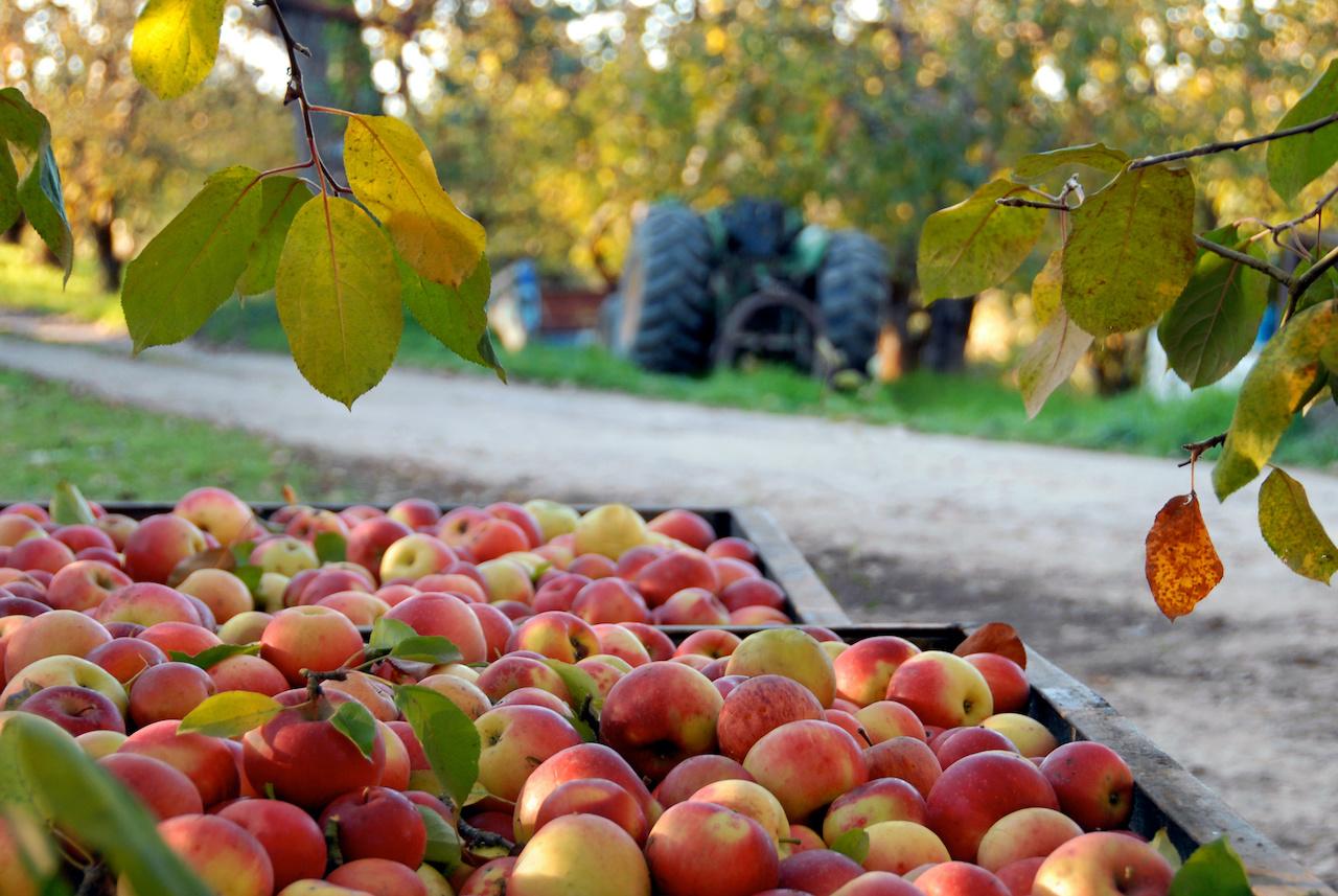 image-30e1ddc39756cef4fdc4aad7944c800fb5938af8-1280x857-jpg