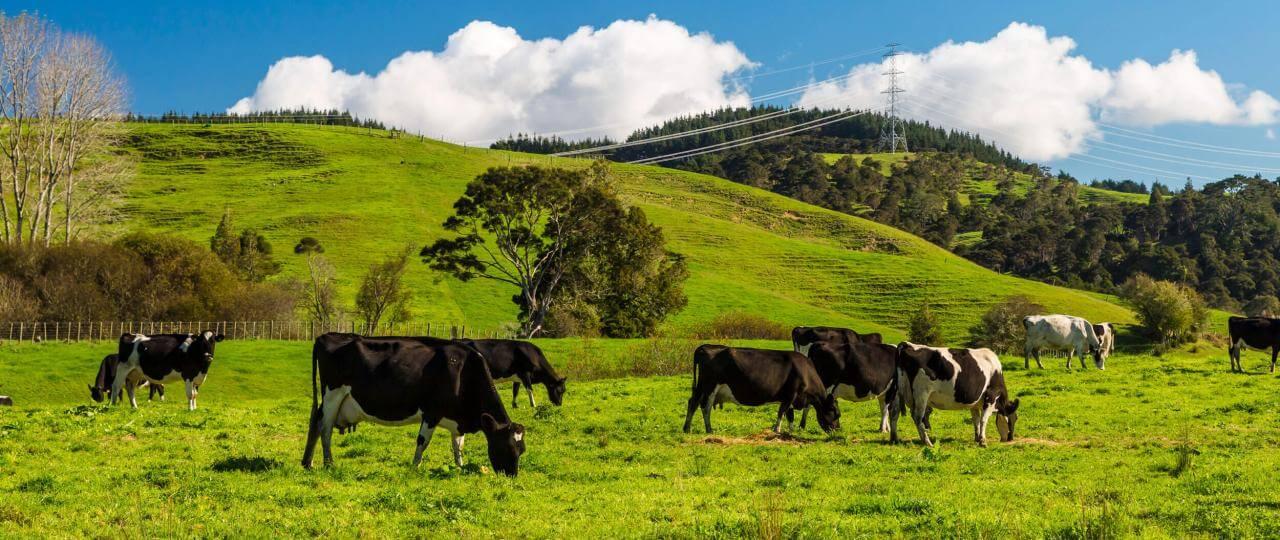 image-52120cf9fbbf68e74efddf797564981a77e691cc-1280x540-jpg