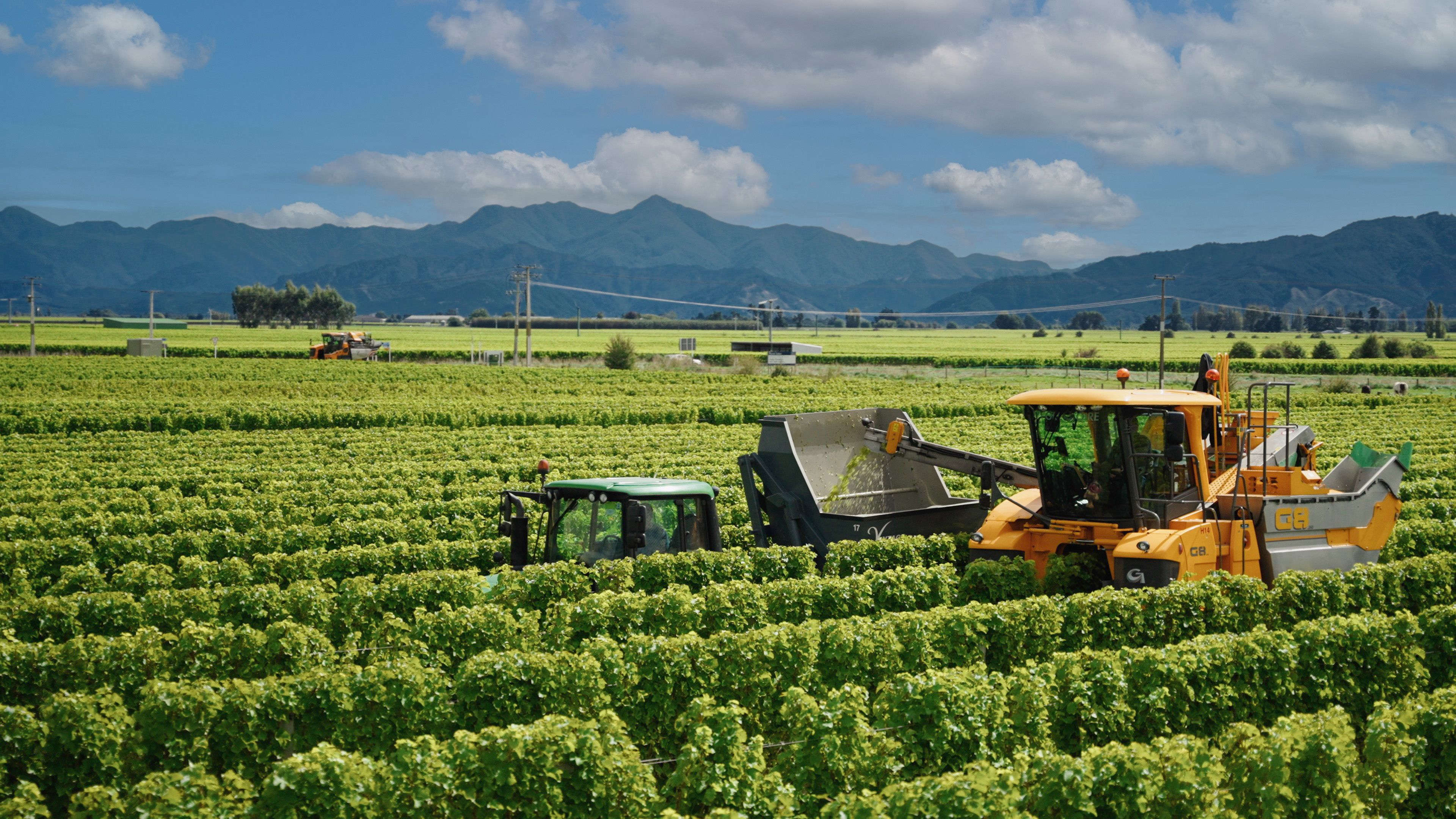 image-74841546704bb63d5da114951c3900d2fa4fcb73-3840x2160-jpg