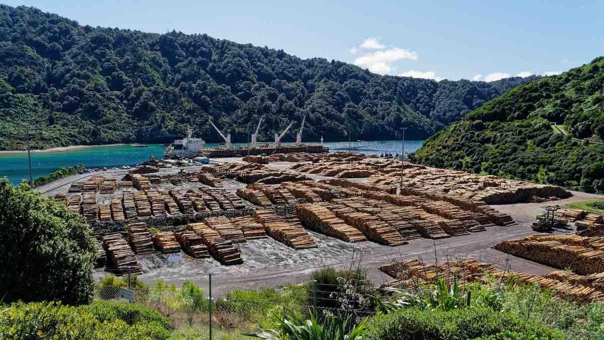 image-79af1c59f1e13026ef6db2ed806a98471e250b26-1200x675-jpg