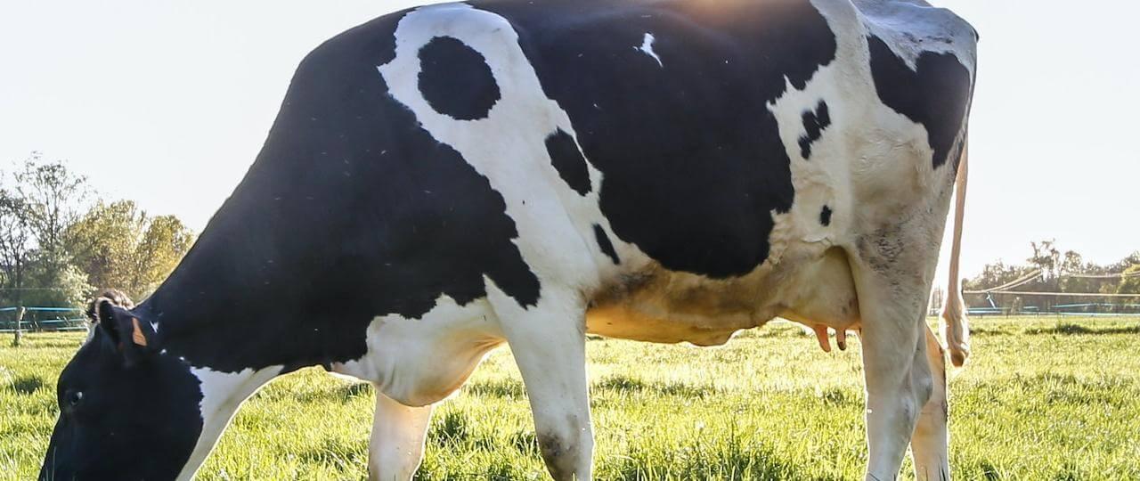 image-88411394c9c2ed8e3b7db8ab5646aa5d452f2da4-1280x540-jpg