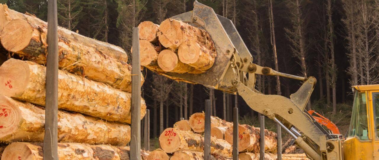 image-92ab064464273db60c78e9152807df8fdddc952f-1280x540-jpg