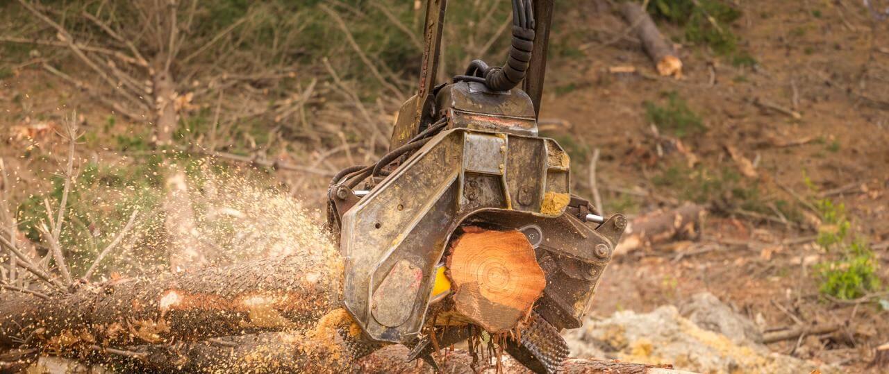 image-b6a89168bfa2051a783f973e5bbff4cbe5ce87e3-1280x539-jpg