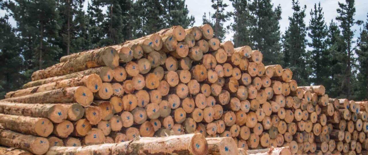 image-ce1c8d029193d50dac3271590face462a10e3535-1279x540-jpg