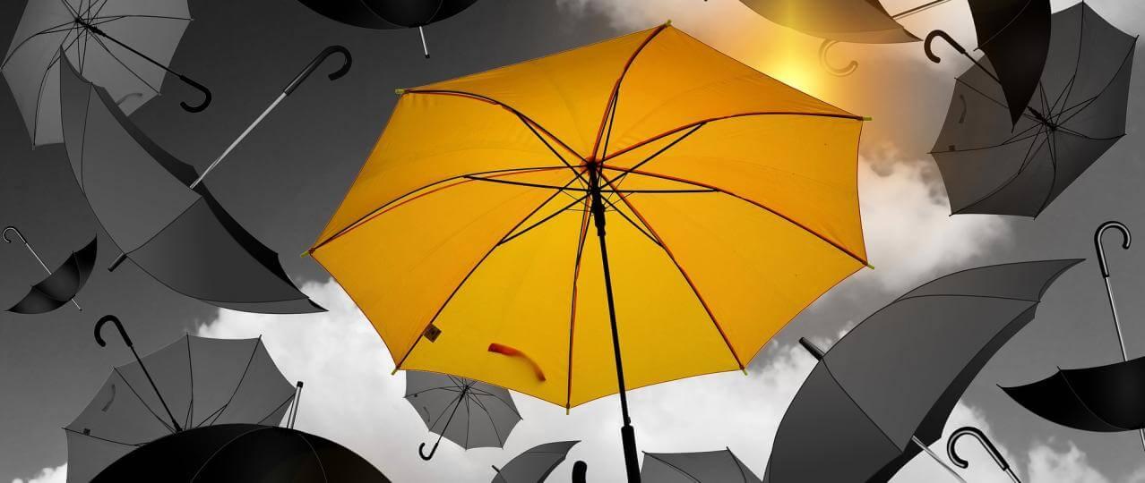 image-d16c243c3e3d7eefb97d8ce3d9832821c55c685c-1278x540-jpg