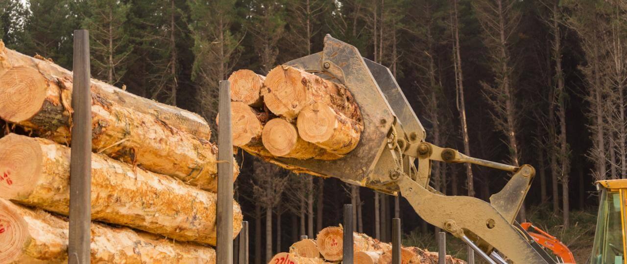 image-da0a00f60b71970c80b40bf3e08176d40b183dfd-1280x540-jpg