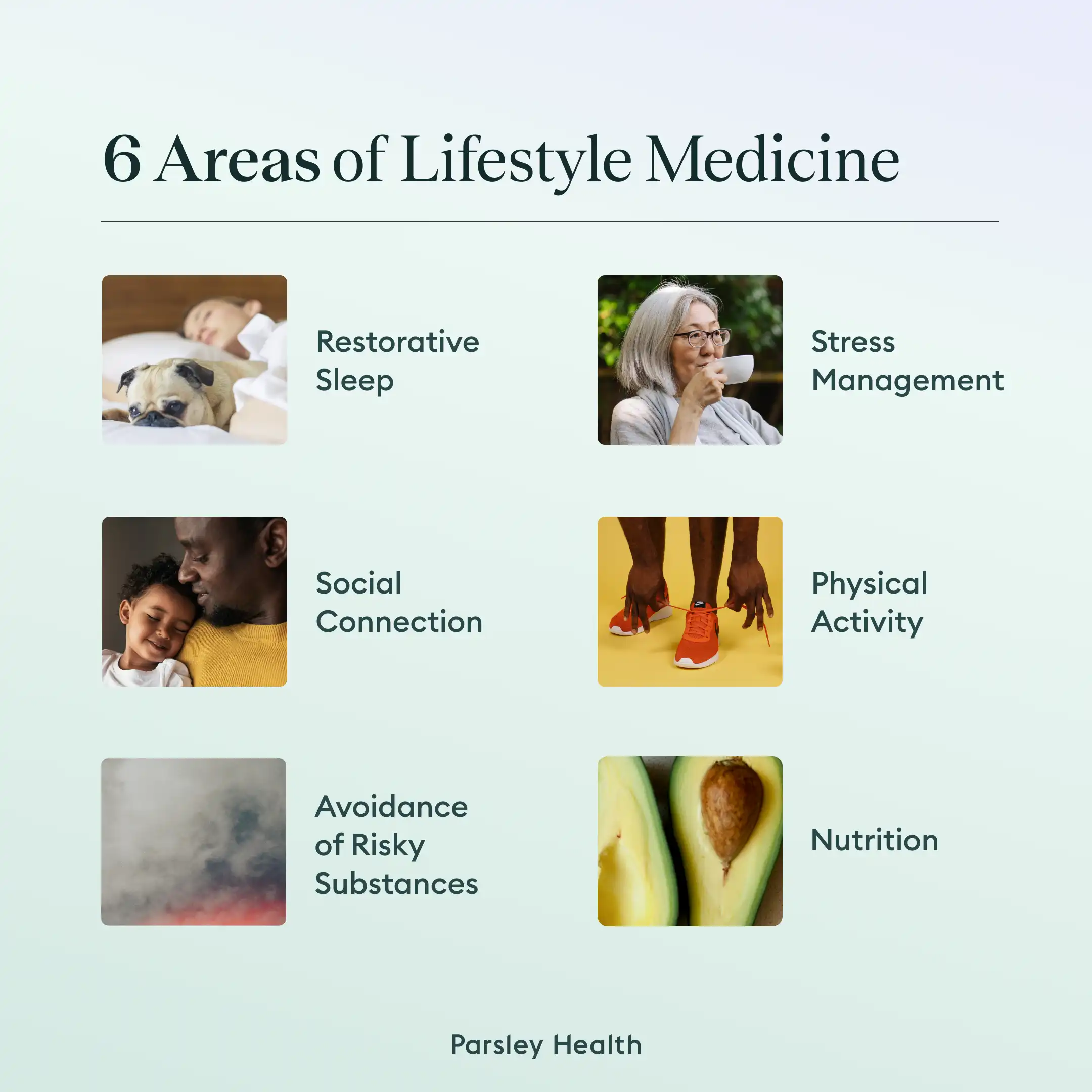 6 areas of lifestyle medicine