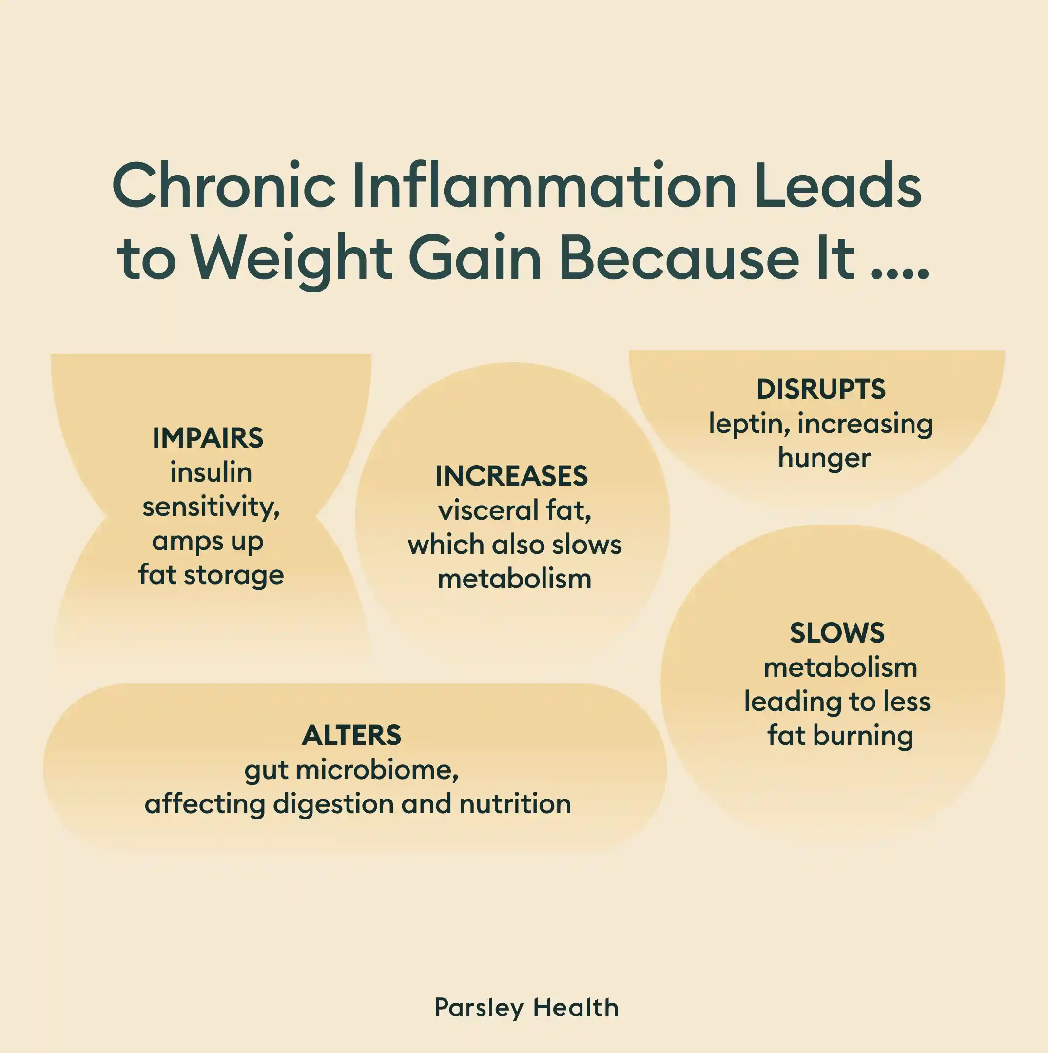 Why inflammation leads to weight gain