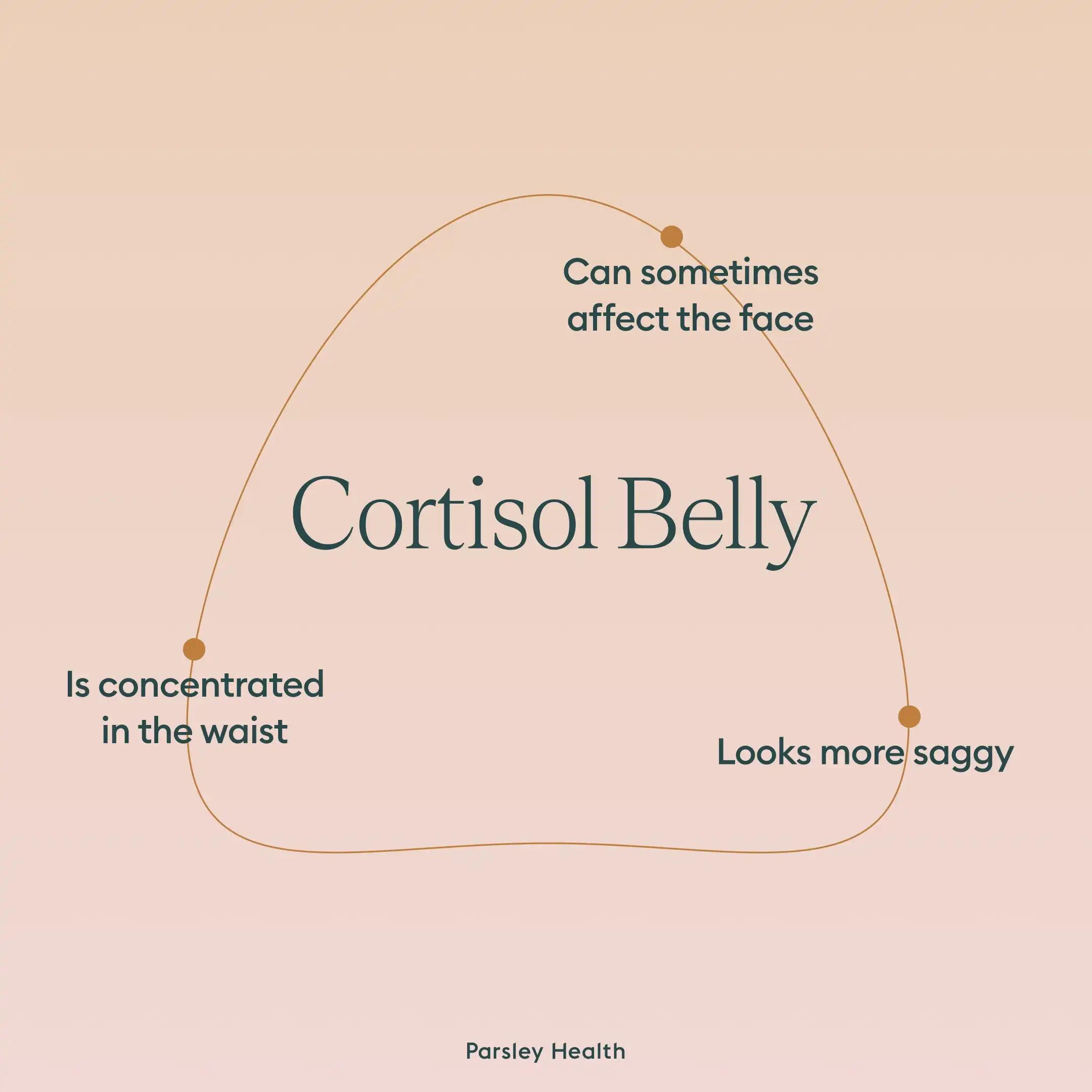 cortisol belly