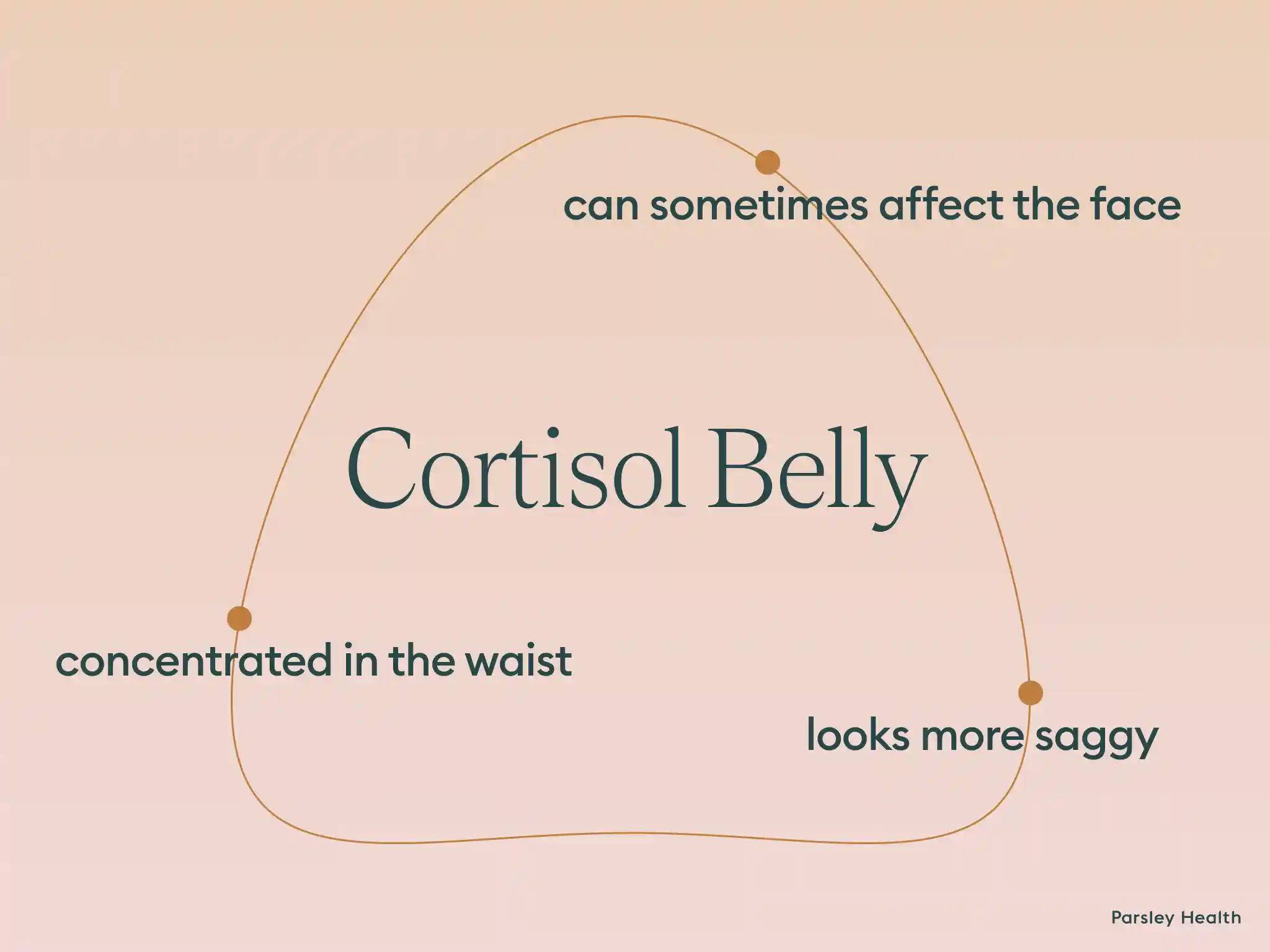 cortisol belly