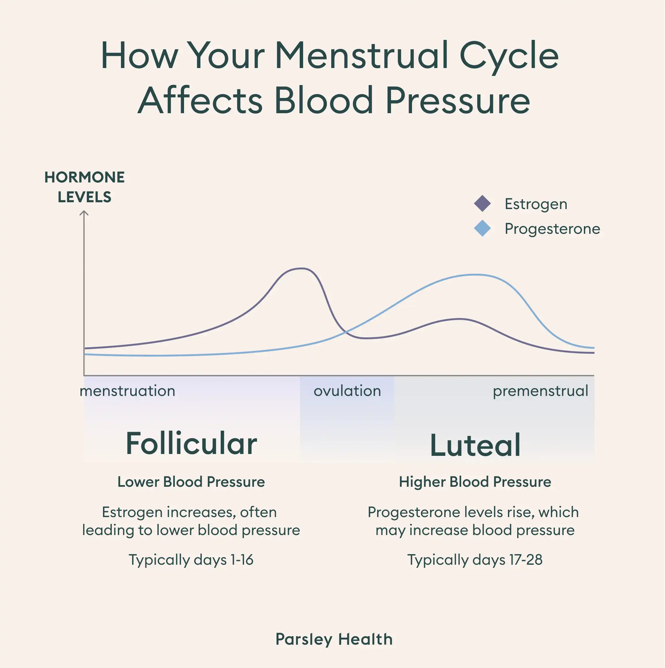 How your menstrual cycle affects blood pressure