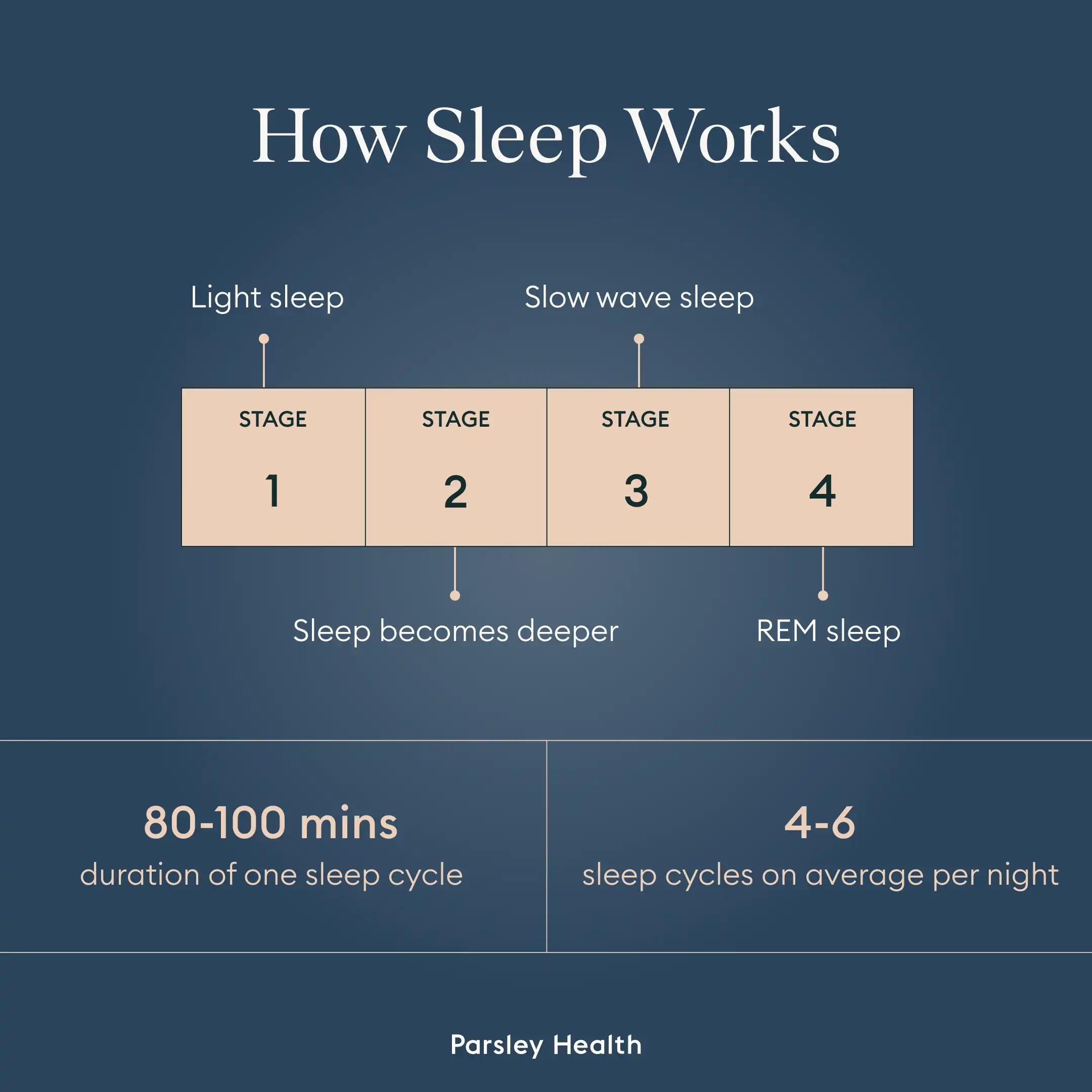 How Sleep Works