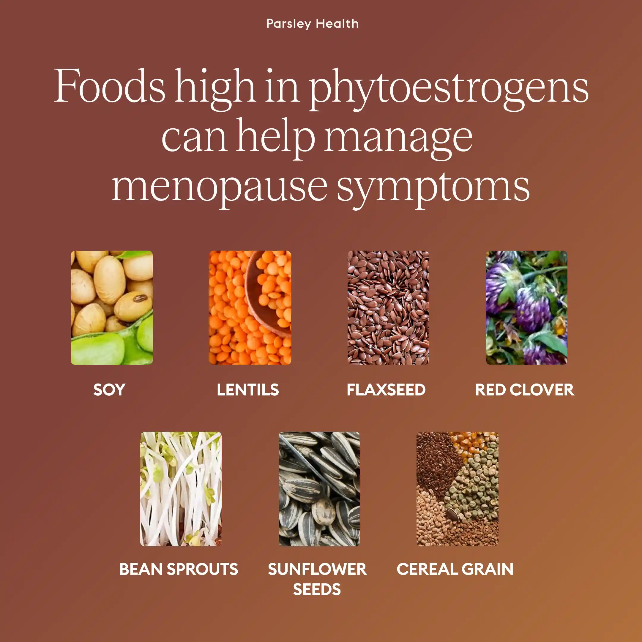 foods high in phytoestrogens