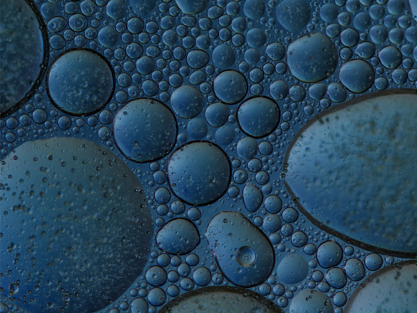 bubbles