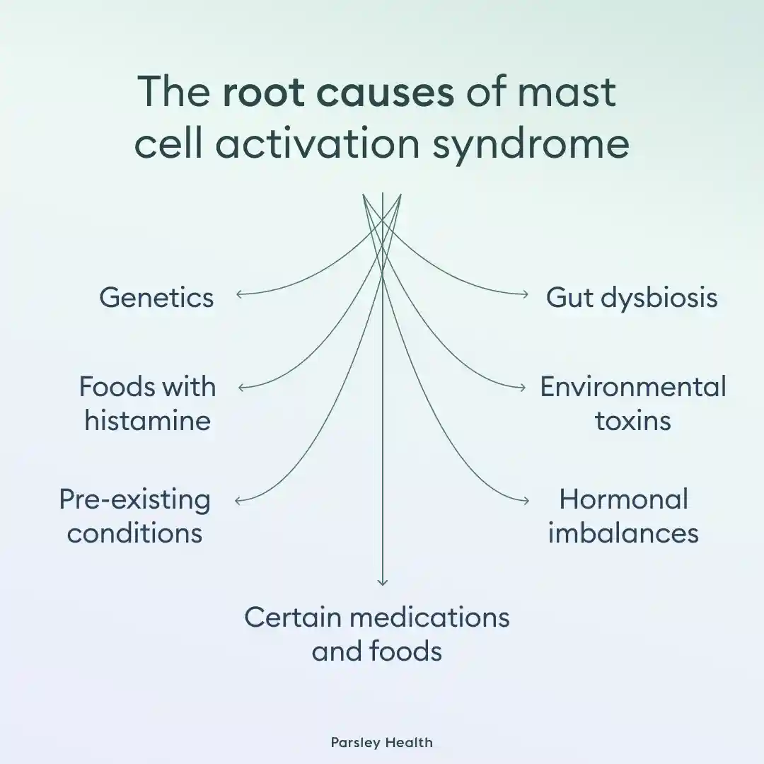root causes of mast cell activation syndrome