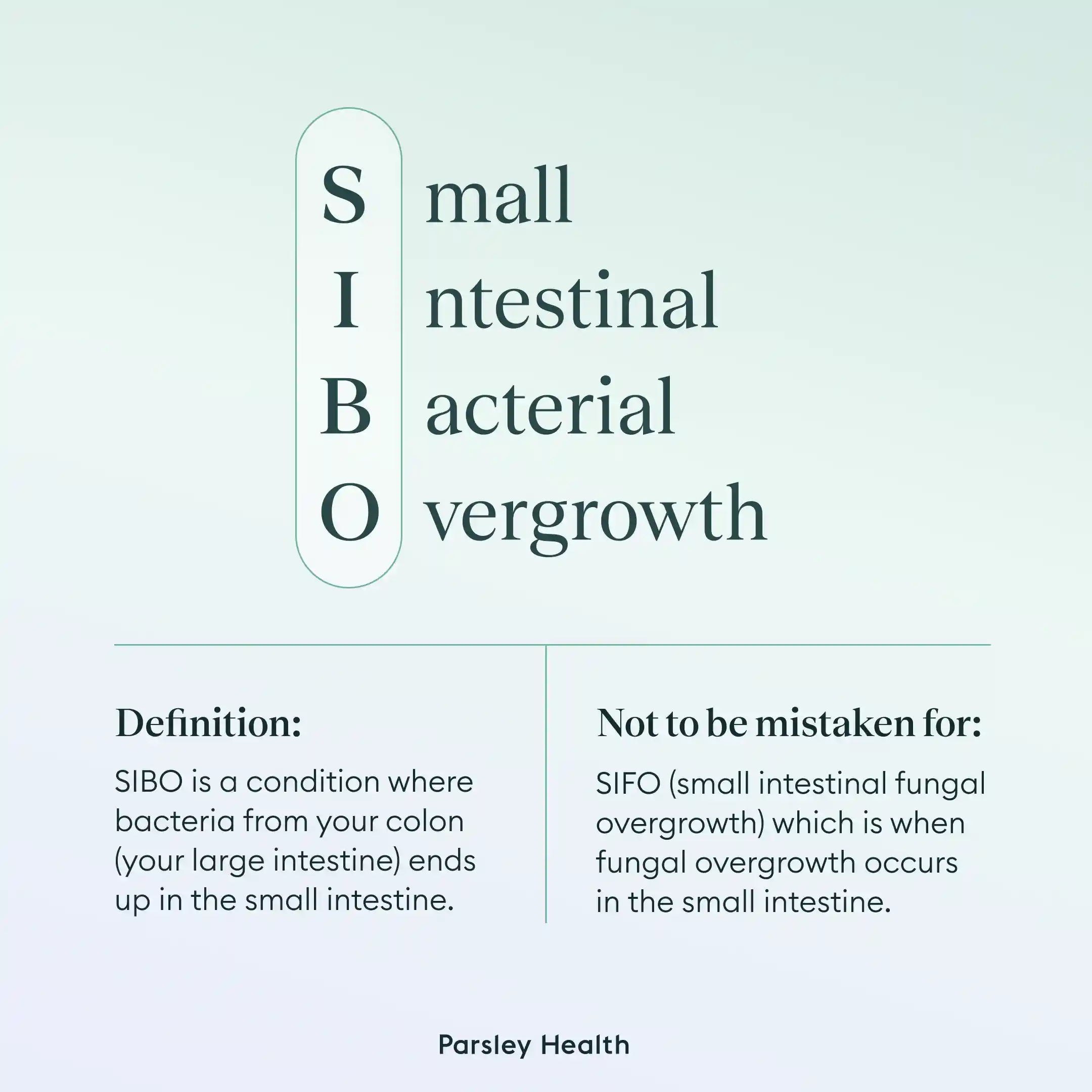 SIBO definition