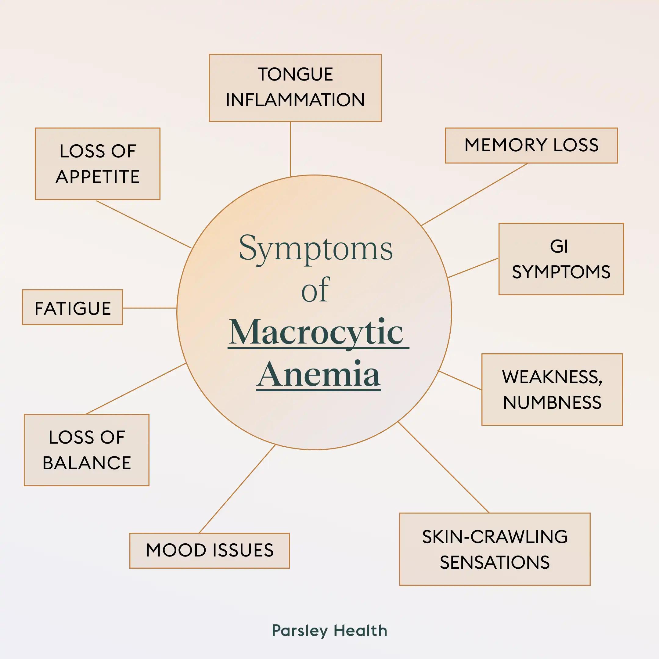 symptoms of macrocytic anemia