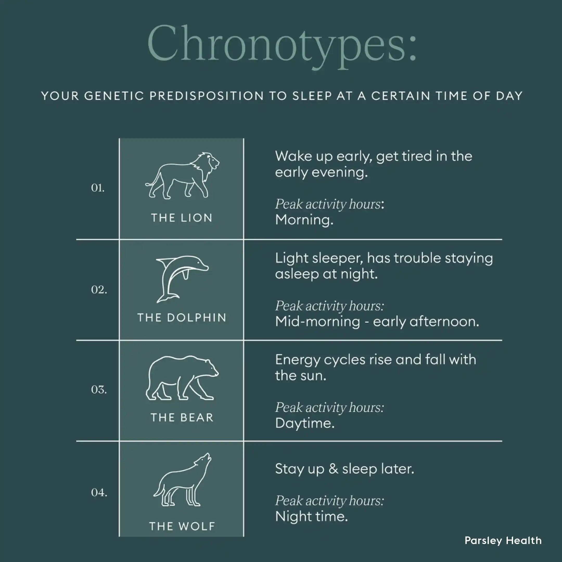 sleep chronotypes