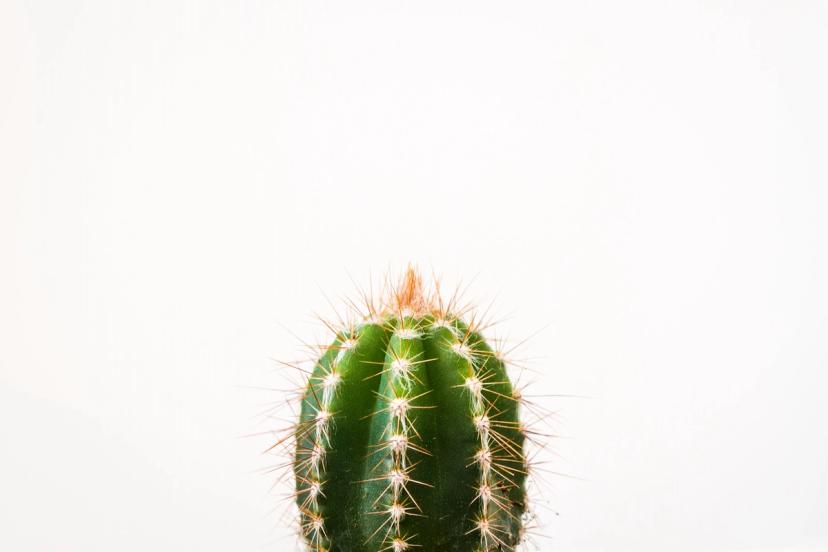 acupuncture for fertility