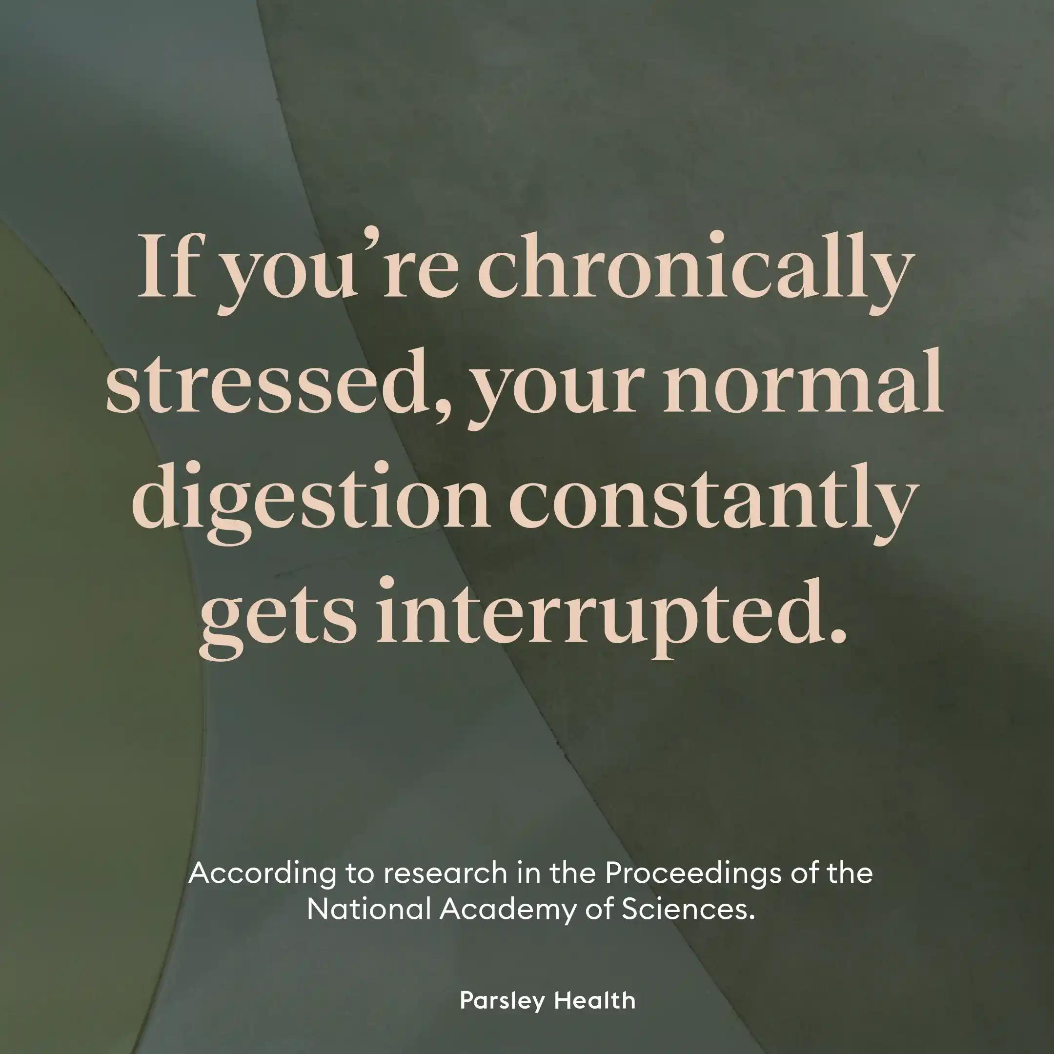 chronic stress constantly interrupts digestion