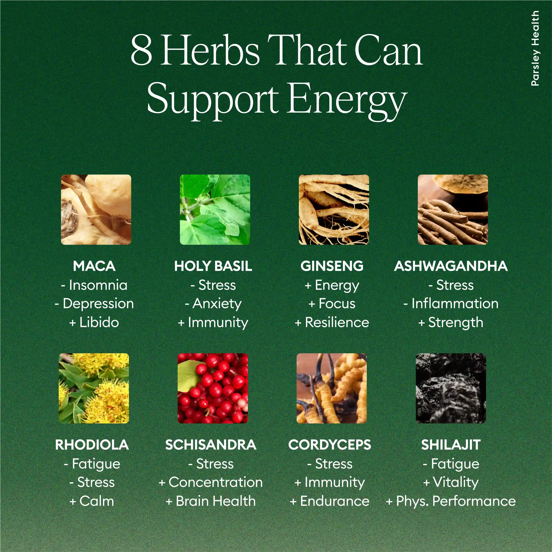 8 herbs that can support energy