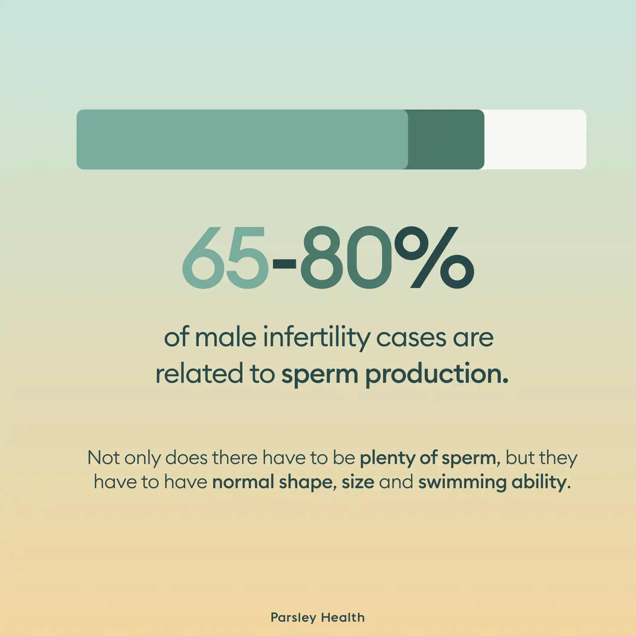 male fertility is related to sperm production