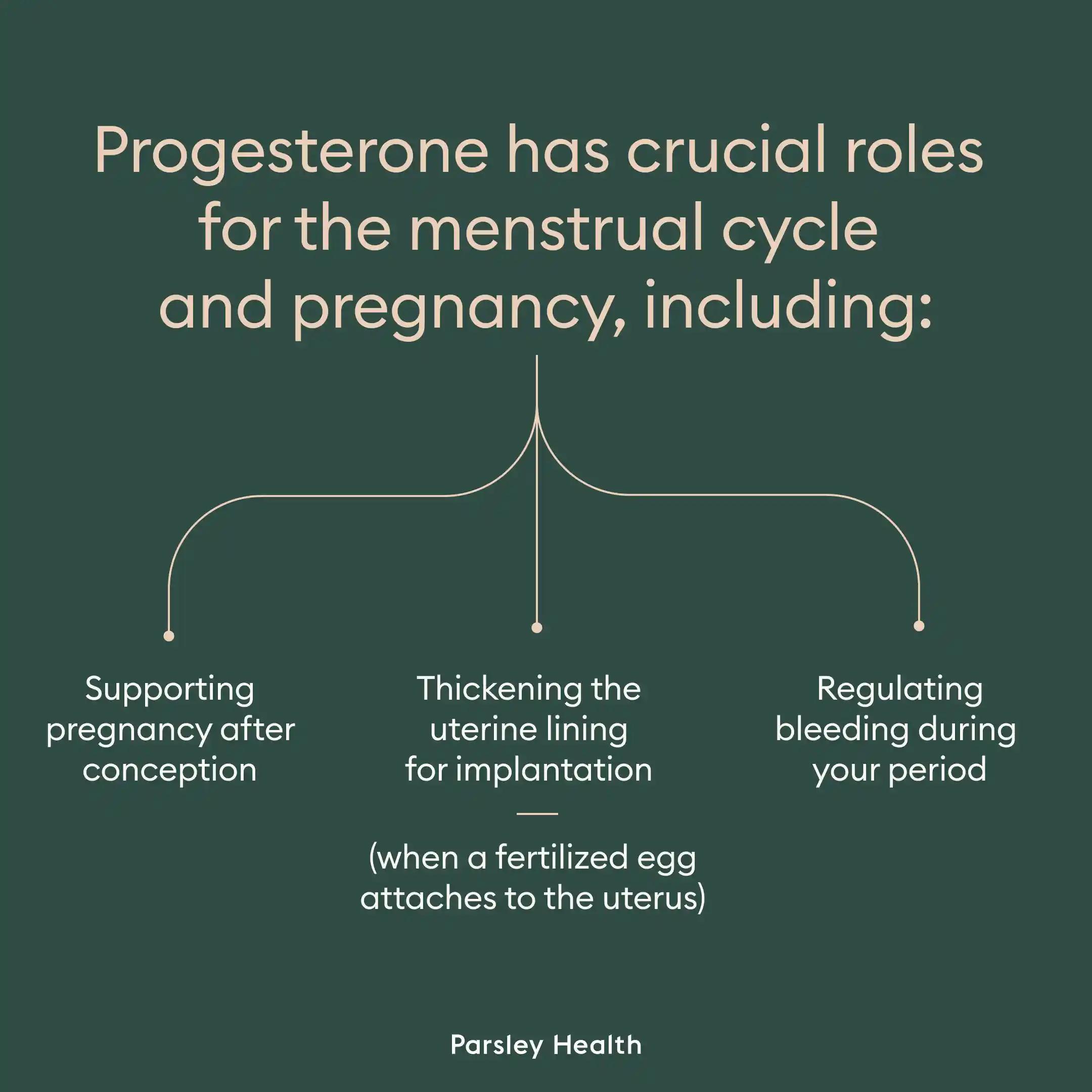 progesterone roles for menstrual cycle and pregnancy