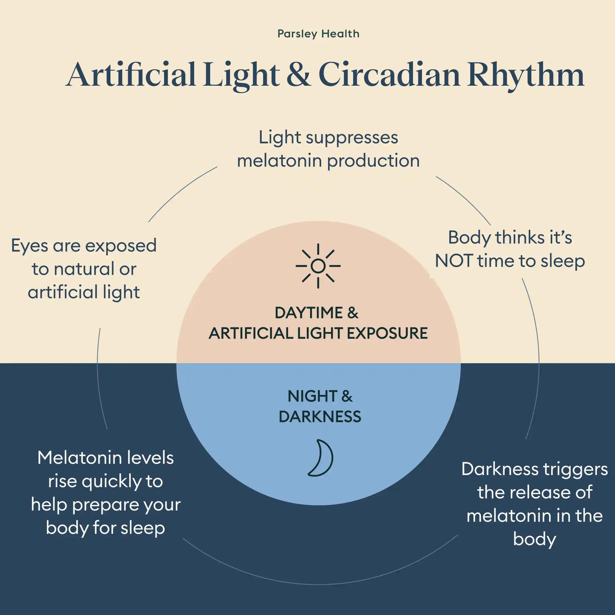 how artificial light affect circadian rhythm