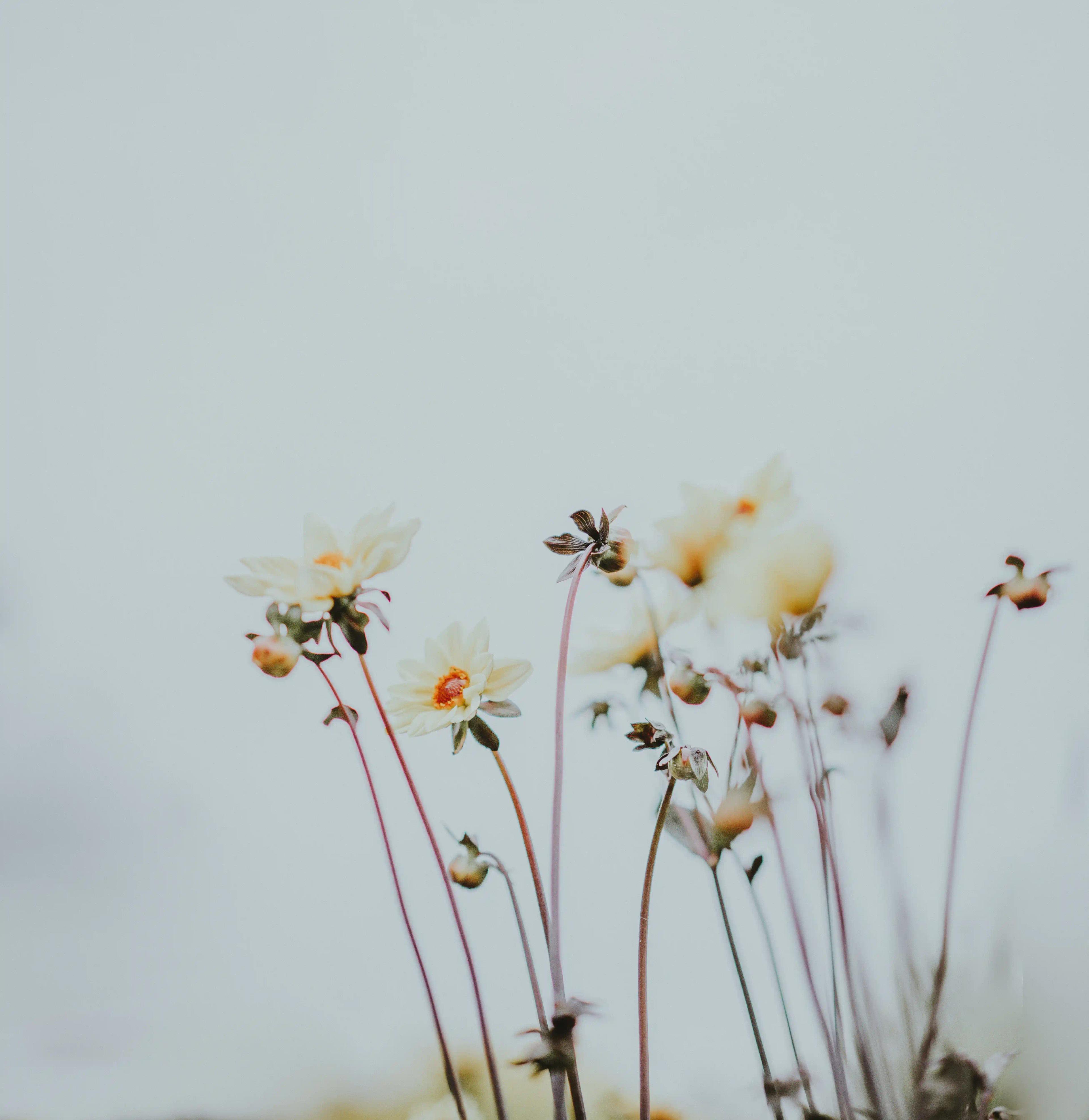 What Happens To Your Body and Hormones After Miscarriage?