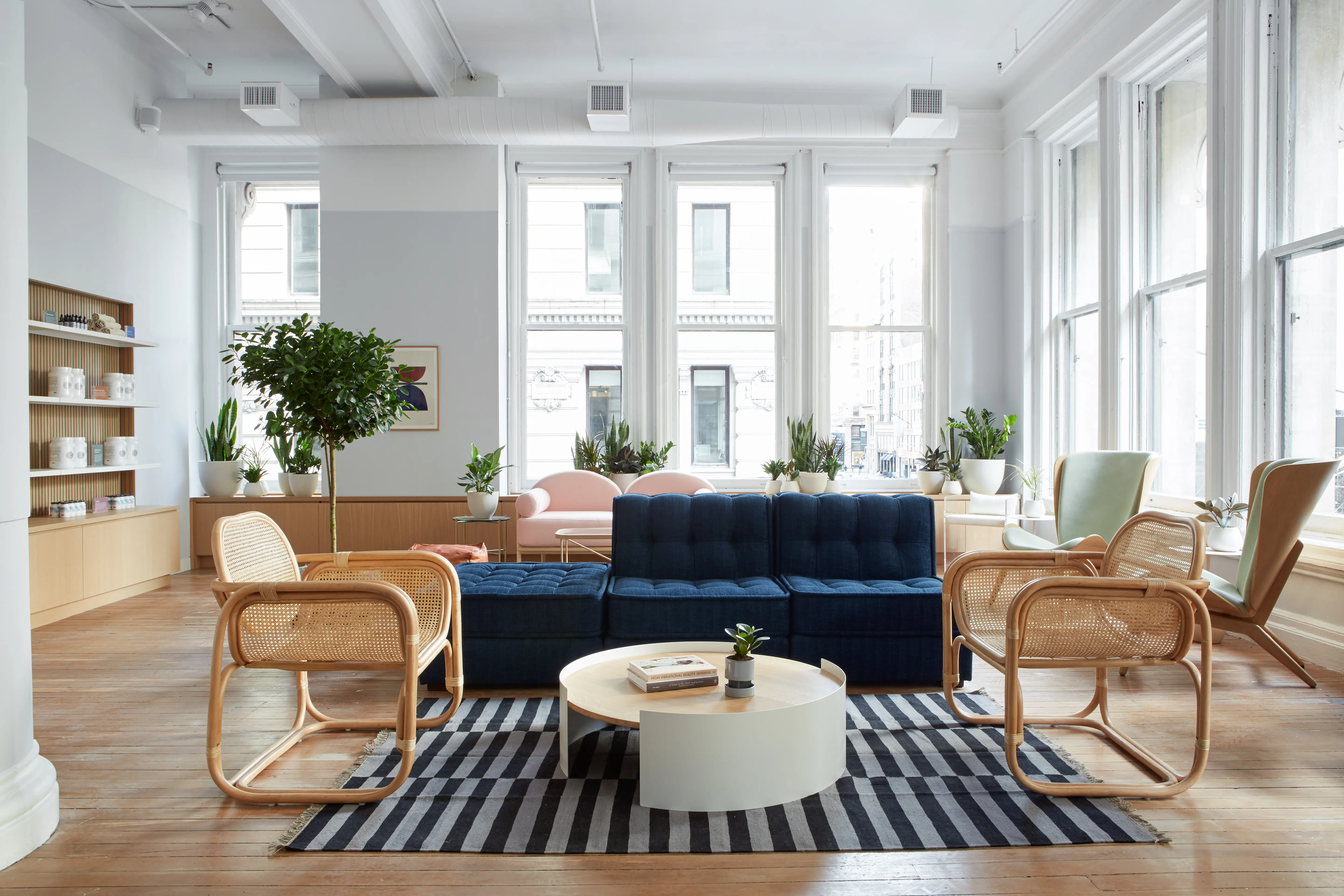 Holistic Medical in New York City Functional Medicine NYC Parsley