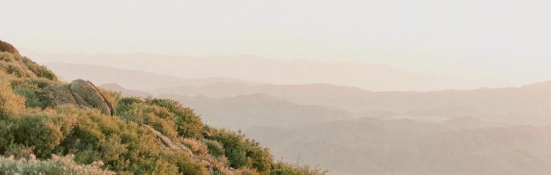 Is holistic medicine right for you?