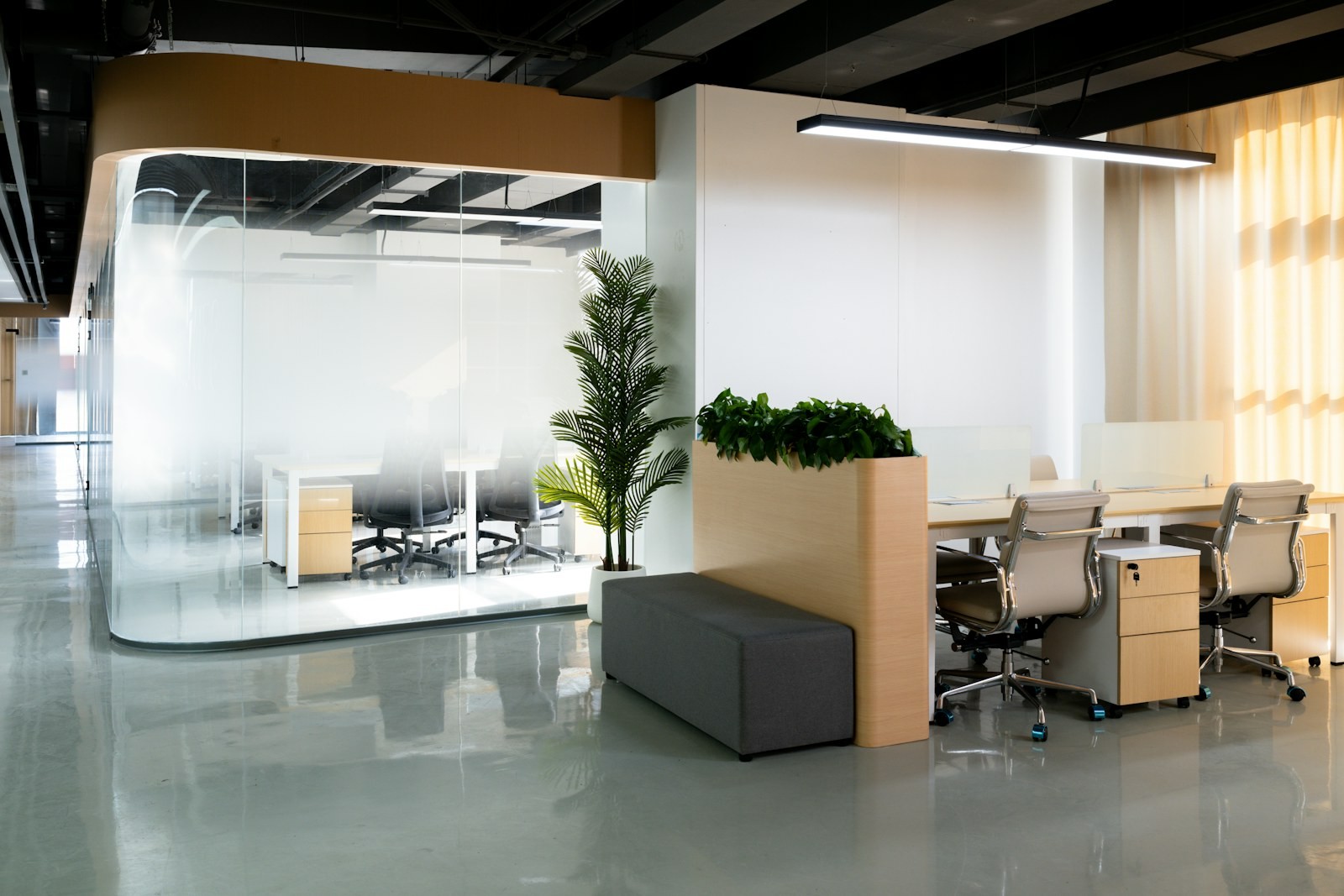 Bright open-plan office with a curved glass meeting room and planting